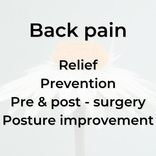 Chronic Back Pain Relief 12-Week Program